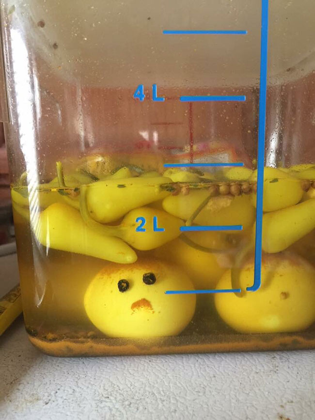 This egg was not happy about being pickled