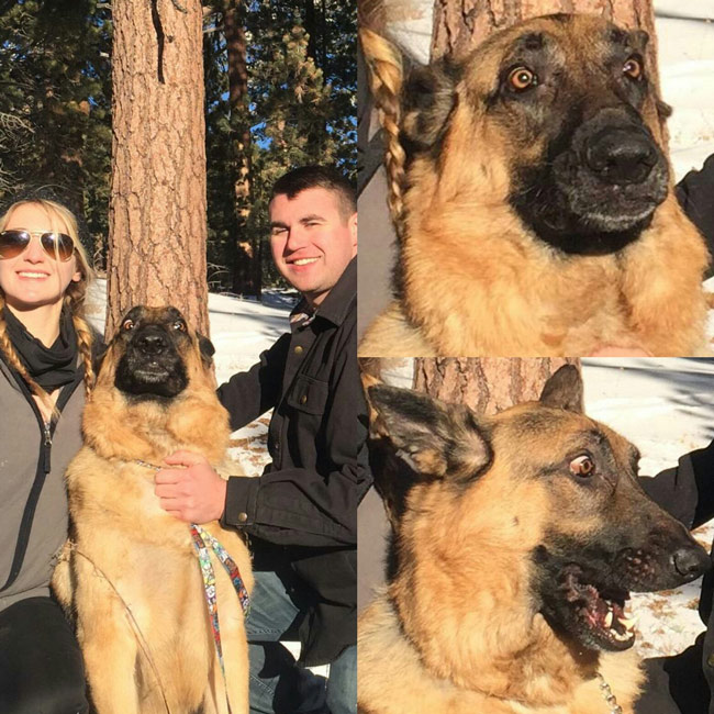 Took Bruno to the snow for the first time, tried to take a nice family pic. These are the faces he made