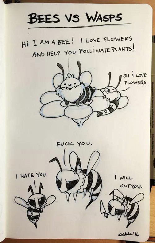 Bees vs. wasps