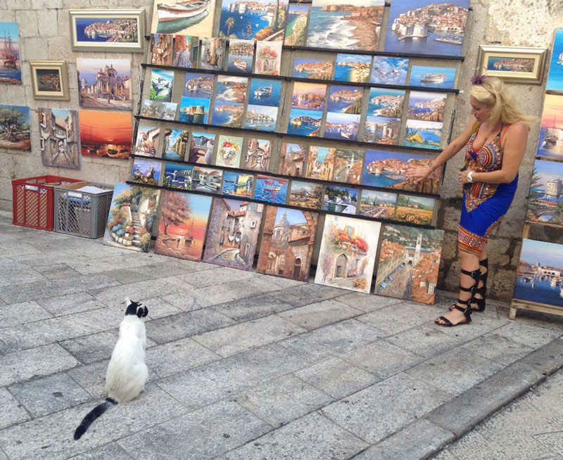Spotted a lady in Dubrovnik teaching this cat about art