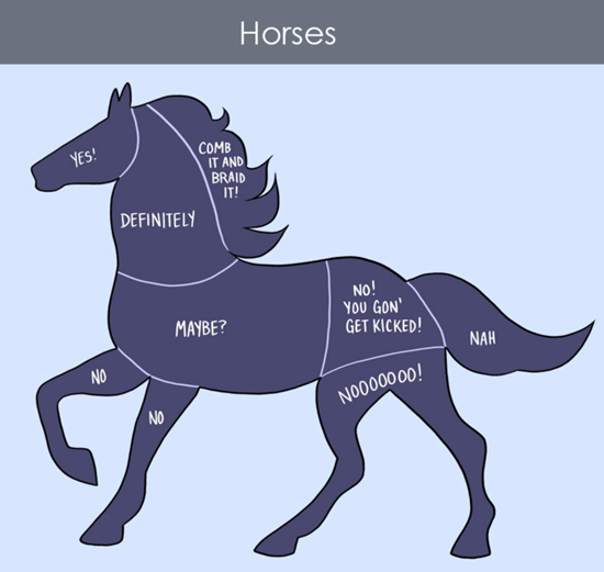 How to pet horses