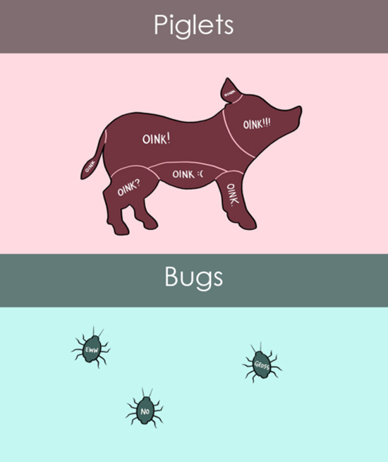 How to pet pigs & bugs