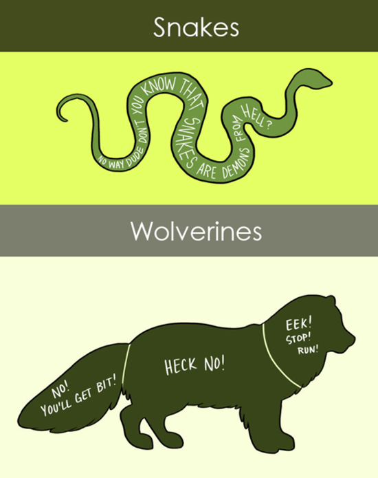 How to pet snakes & wolverines