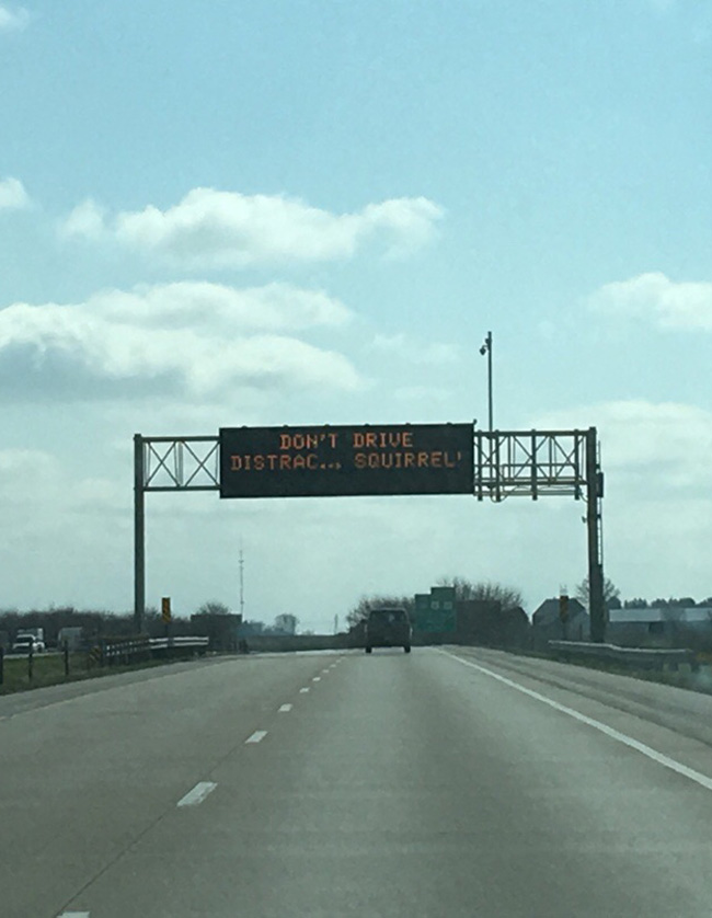 Well played Iowa, well played