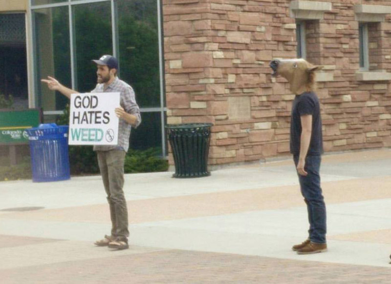 Meanwhile in Colorado State