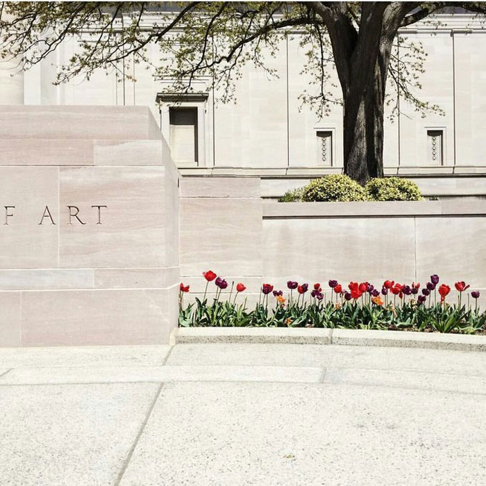 The National Gallery of Art uploaded, and then promptly deleted, this photo to its Instagram