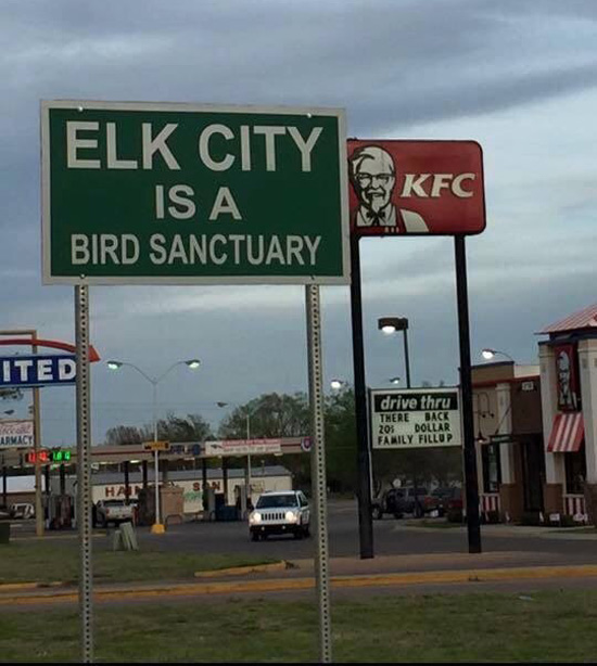 "Bird Sanctuary"