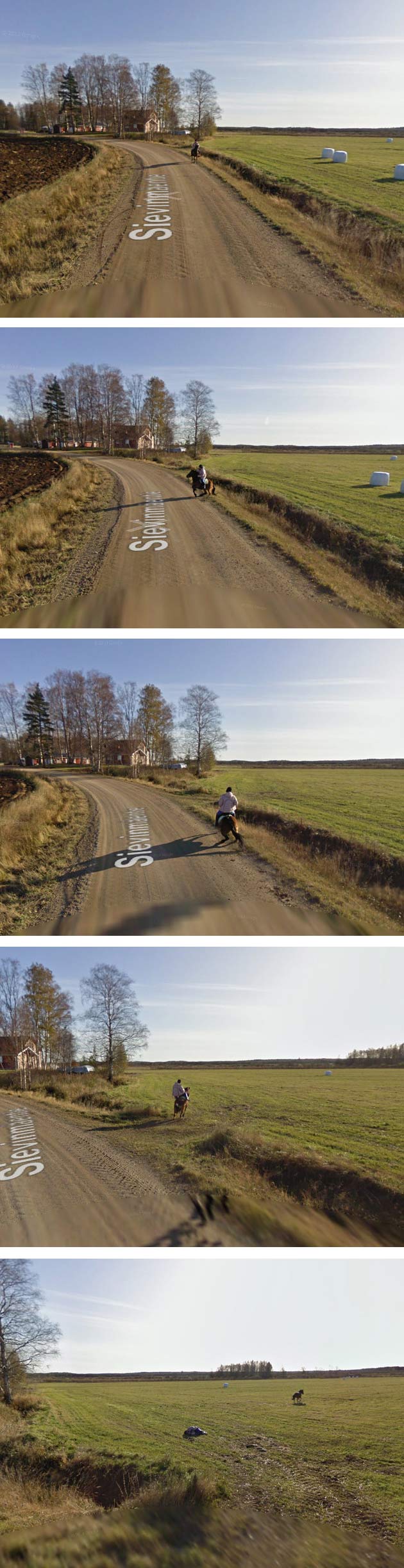 When Google Street View car meets a horse
