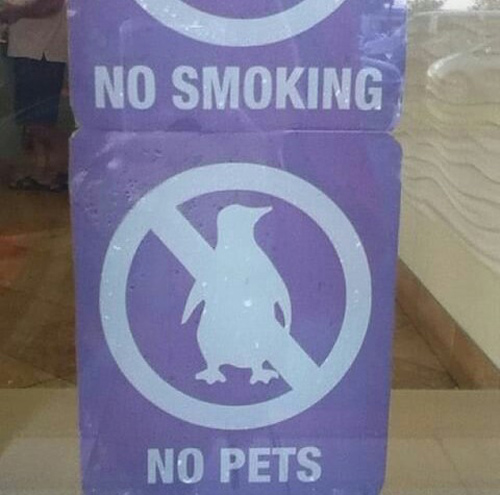 Goddamnit! I can't bring my pet penguin into the mall!