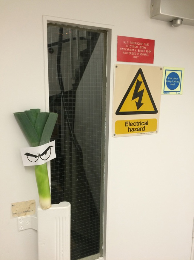 Reported a sinister looking leek near the electrical cupboard at work yesterday...