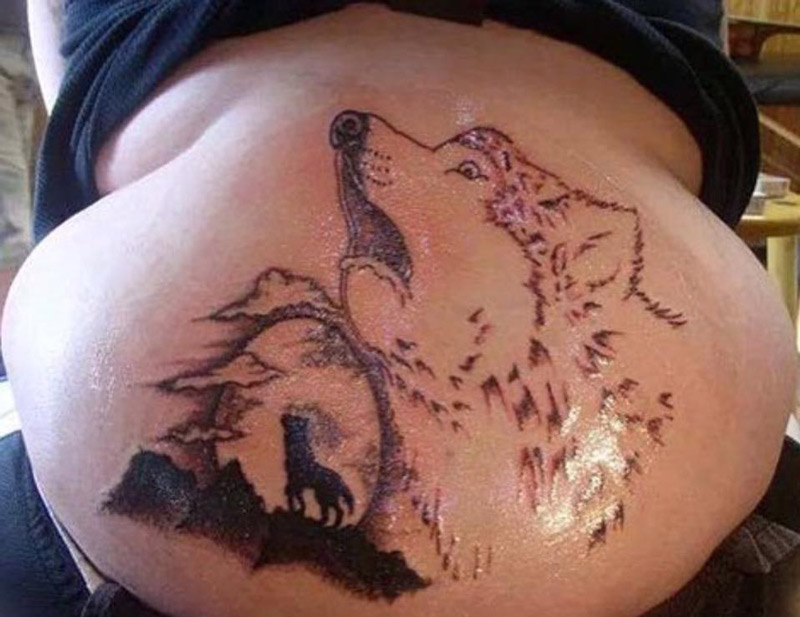 This wolf looks horrified