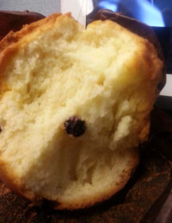 Ordered a blueberry muffin. Got 1 blueberry. I didnt expect the description to be so accurate