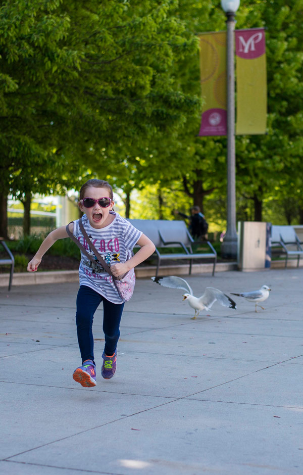 My niece likes to chase seagulls. The seagulls in Chicago chase back