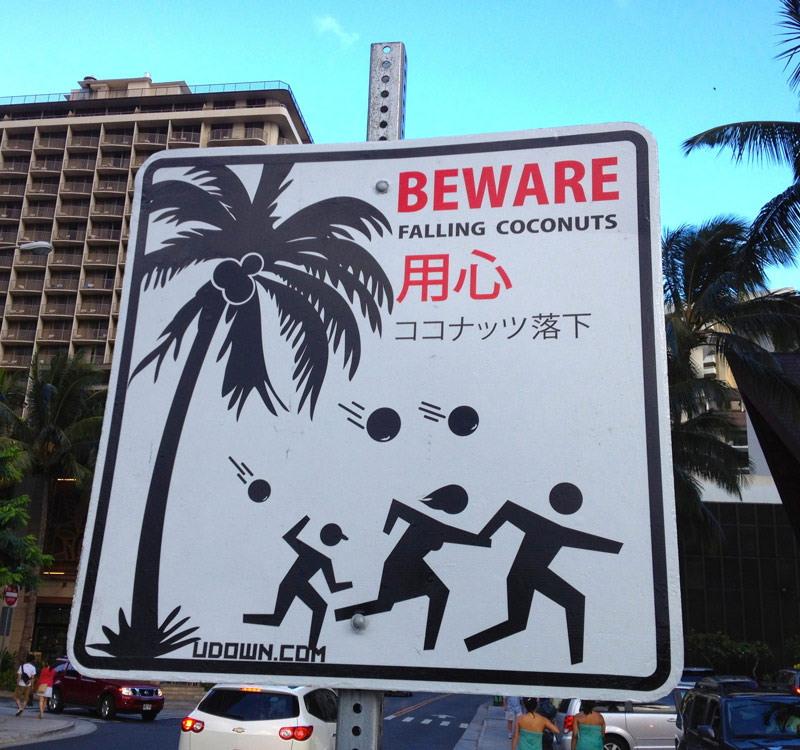 Beware of the homing coconuts