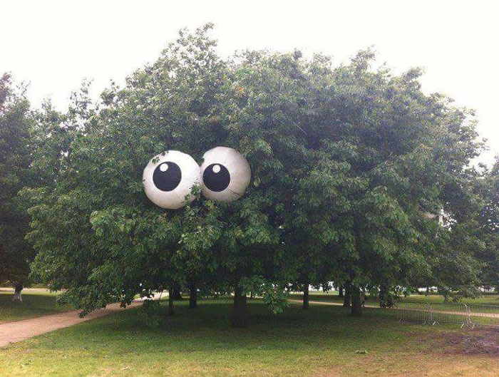 Googly eyed trees with giant beach balls