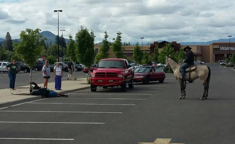 A bike thief was just lassoed by a dude on a horse in a Walmart parking lot in Oregon...