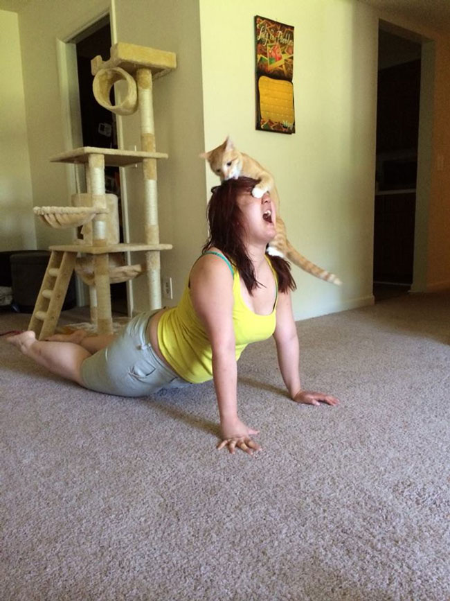 My girlfriend's new yoga pose