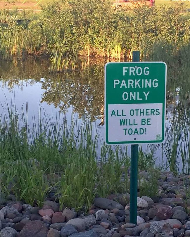 Frog Parking Only