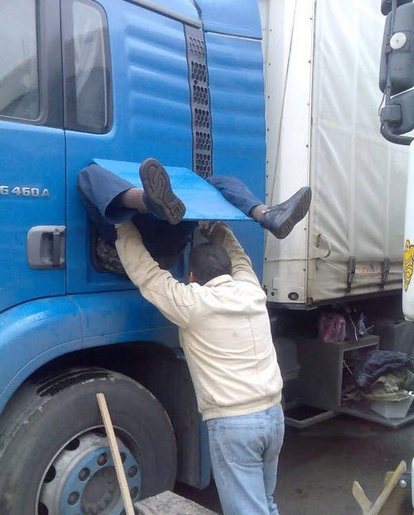 The birth of a new truck driver, a scene rarely witnessed in the wild
