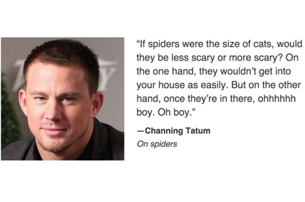 Channing Tatum on spiders