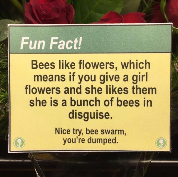 Fun facts at the flower shop