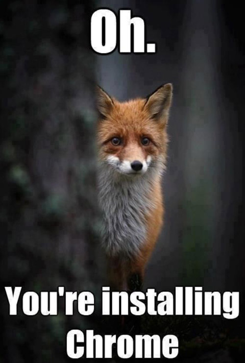 My friend sent me this knowing I love foxes. Now I just feel guilty...
