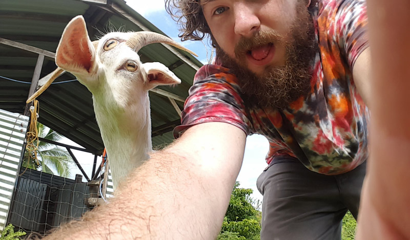 Tried to take a panorama with one of our goats, but she moved in the middle