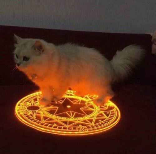 When you try to summon the devil but you end up summoning something more evil