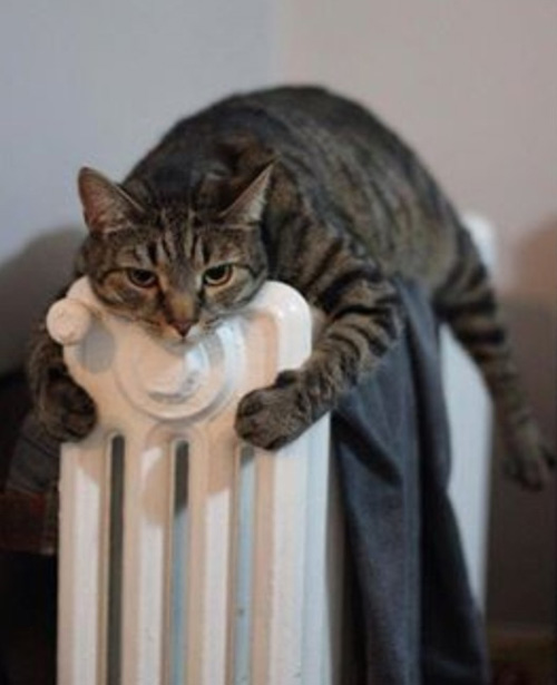 "This is my heater. There are many like it, but this one is mine."