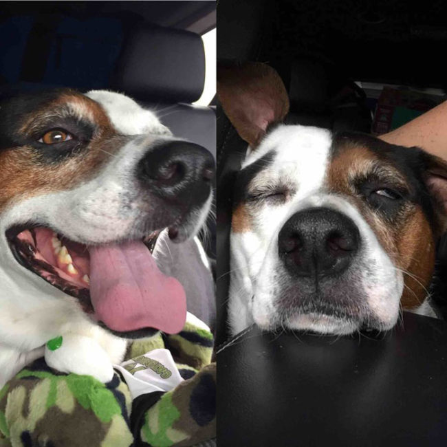 On the way to the lake vs. on the way home from the lake