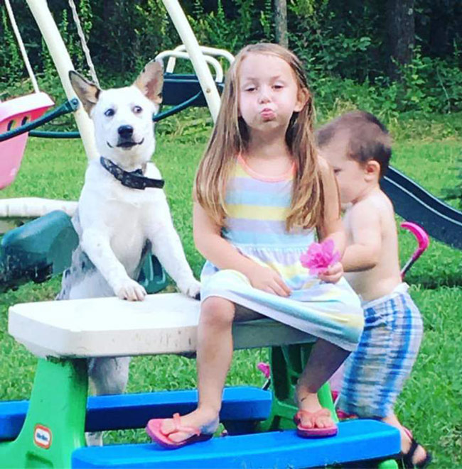 My sister in law took this pic of her dog and kids...the dogs face says it all