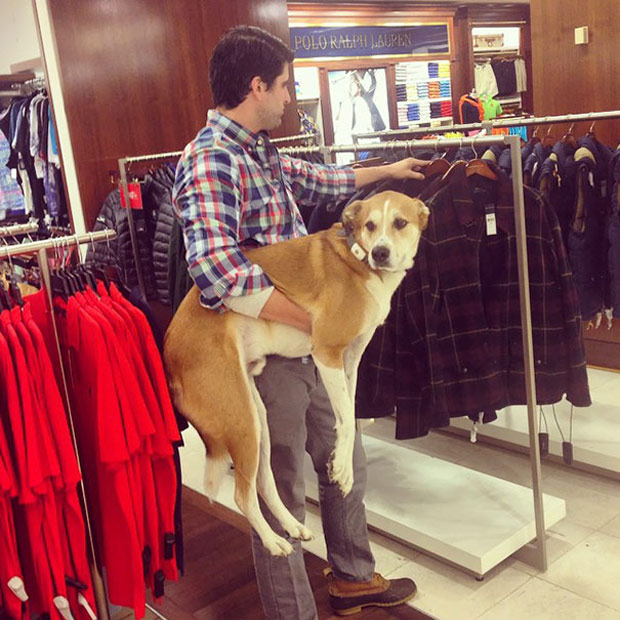 If men shopped with their dogs like women shop with their dogs...