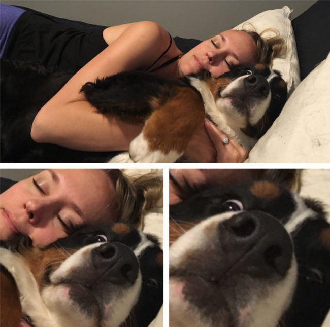 My wife requested a picture of her cuddling our puppy. He's not a huge fan of cuddles