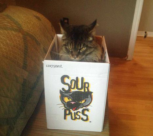 An appropriate box for such a mood