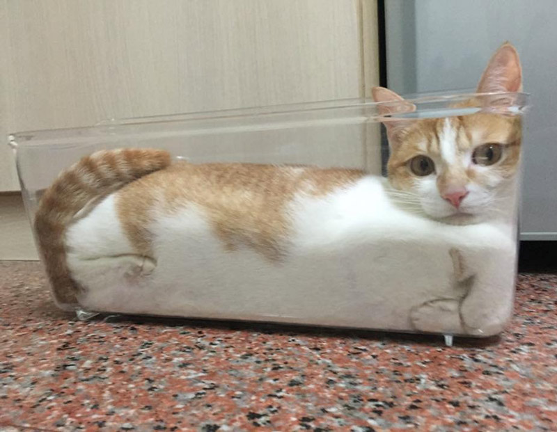 A liquid has no fixed shape therefore it takes the shape of any container