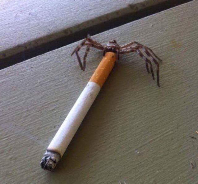 Charlotte? Haven't heard that name in years...