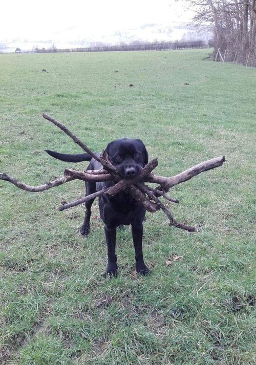 Assistant branch manager