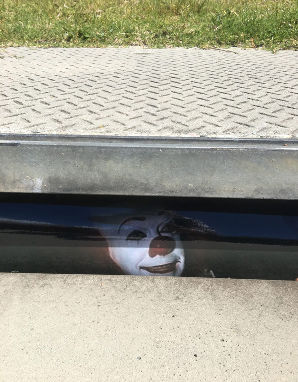 I put this in the drain at the front of my house