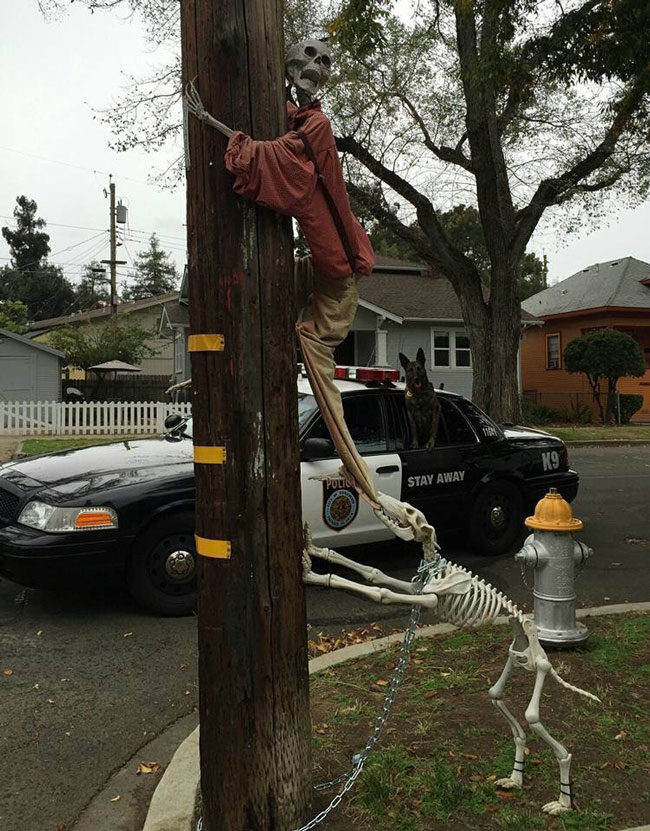 Happy Halloween from the Sacramento Police Canine Association!