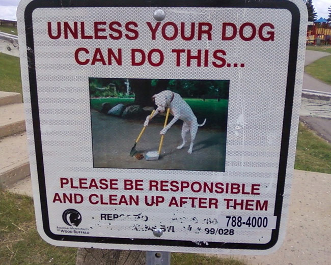 Unless your dog can do this...