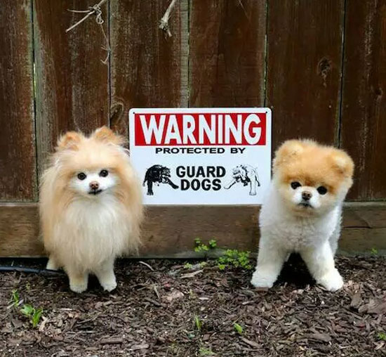 You've been warned!