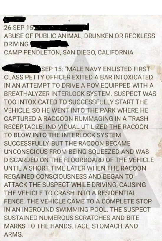 Best police report I've ever read