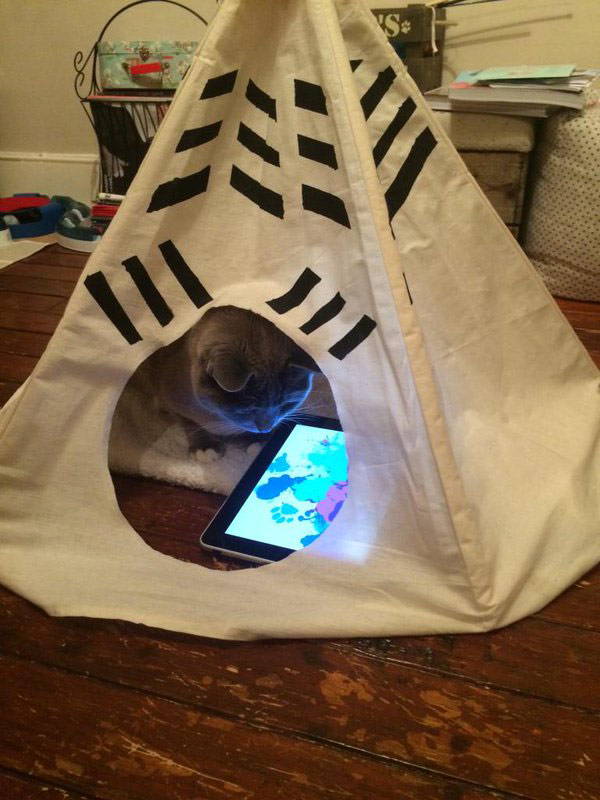 Sometimes I wonder if I spoil the cat, seeing him with his iPad, in his Tipi