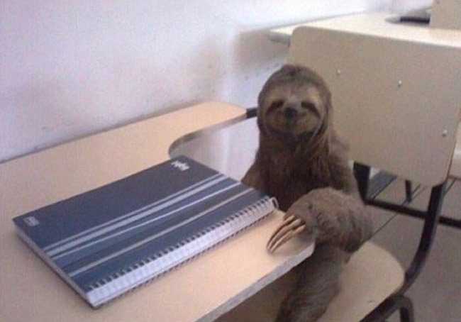 When you kinda slow but determined to graduate