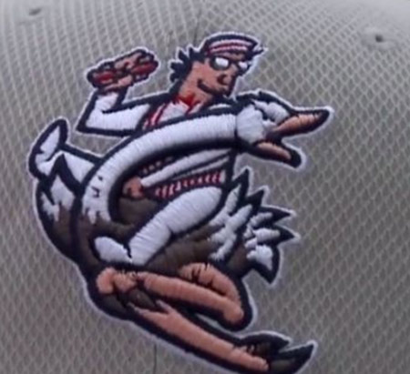 The logo for my home town's baseball team is a hot dog vendor... riding an ostrich... Lord help us