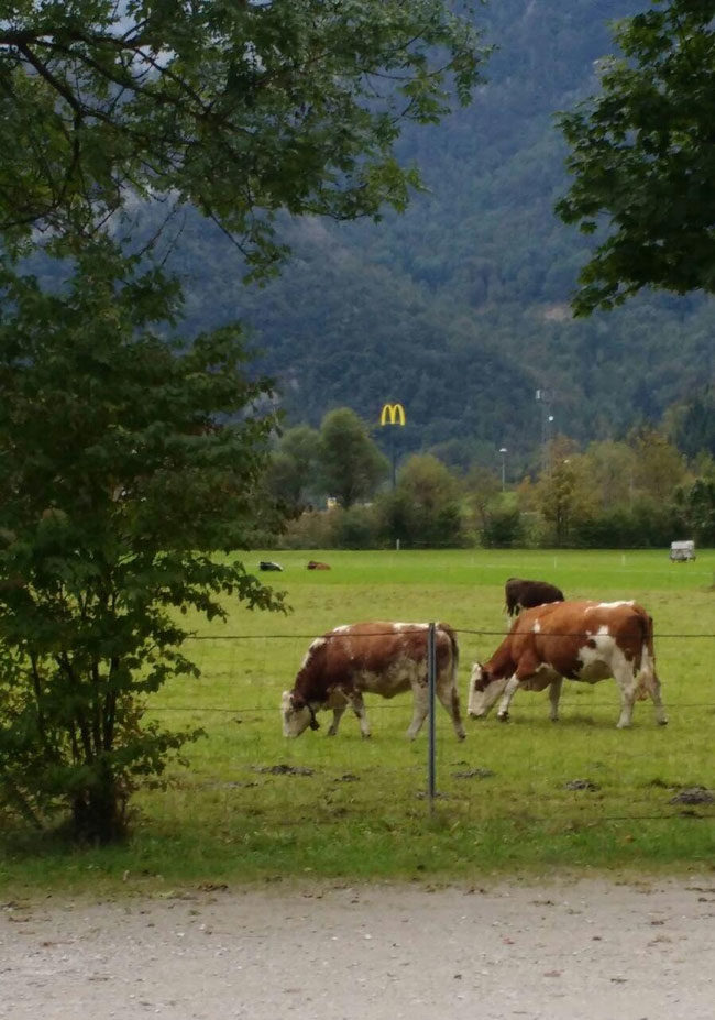 A hungry McDonald's stalking its prey...