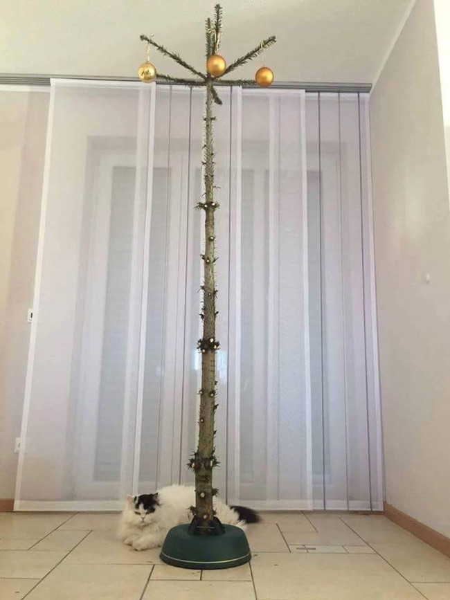 Christmas tree for cat owners