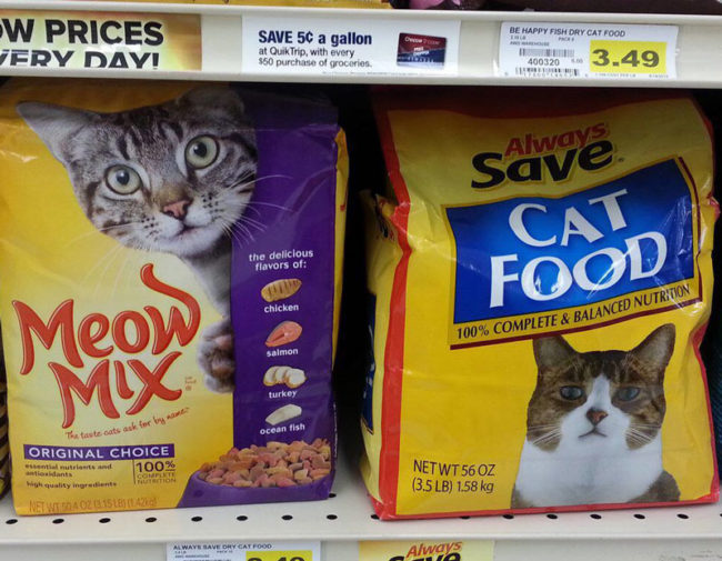 Disappointed generic brand cat
