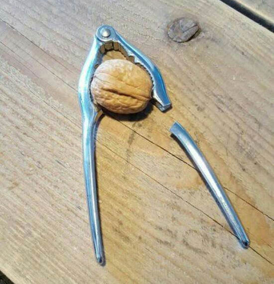 German walnut vs a Chinese nutcracker