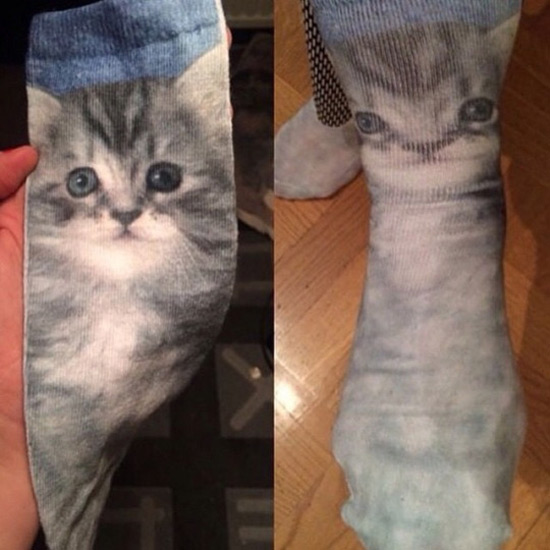 Kitten socks